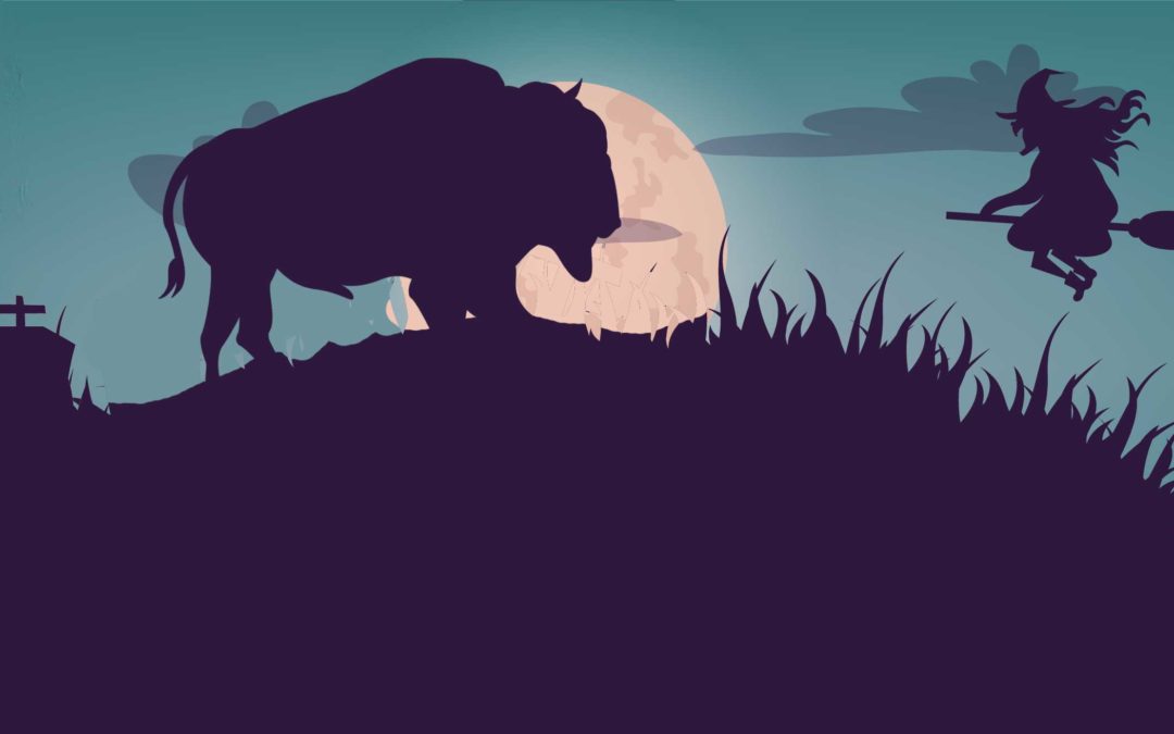 Halloween avec les bisons de la Margeride