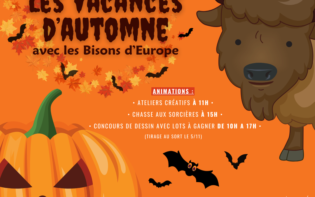 Vacances de la toussaint 2023