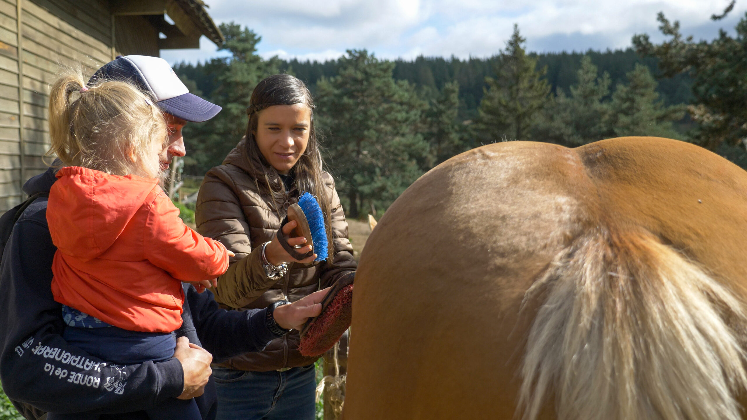 caleche visite parc bison margeride