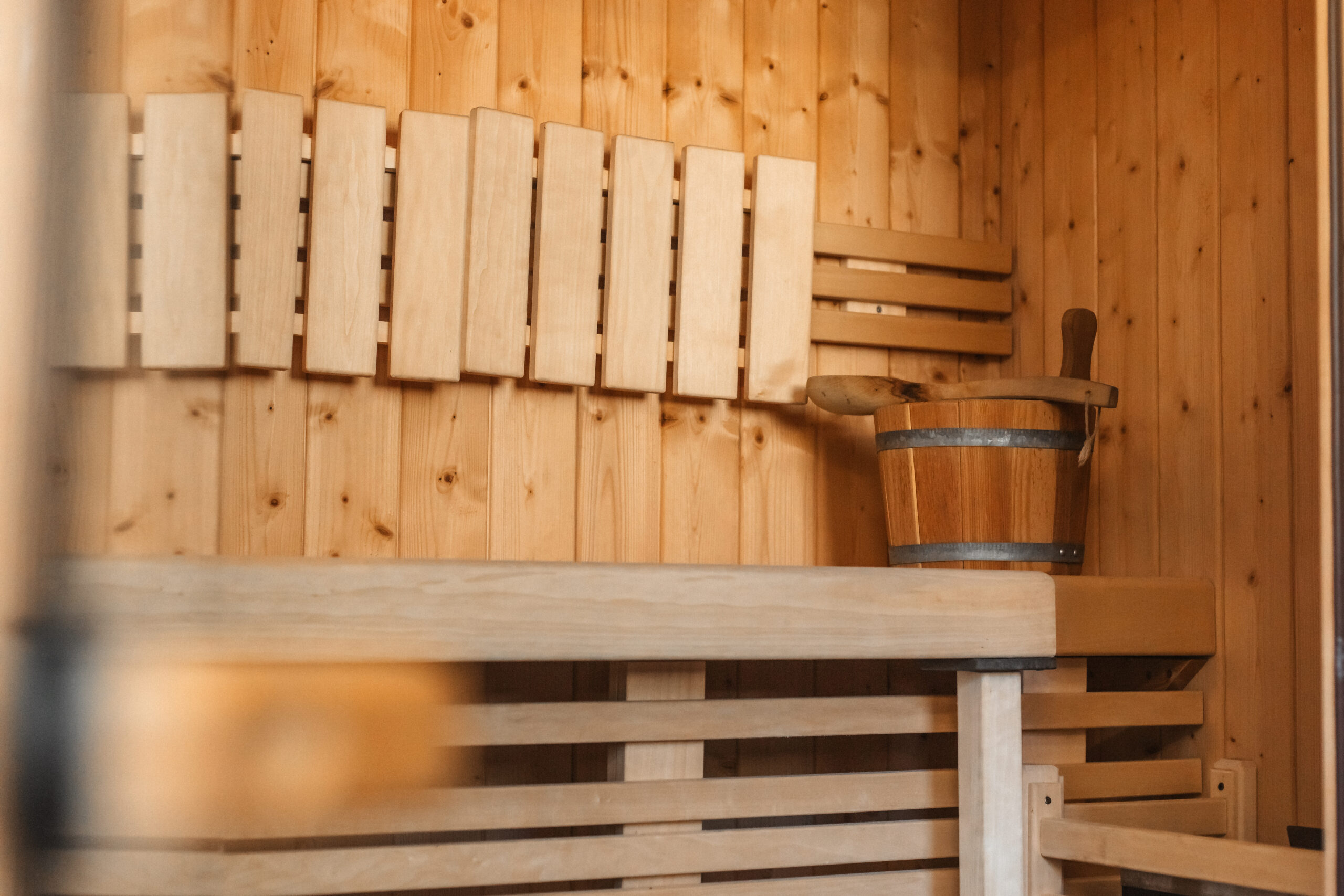 sauna bouviers