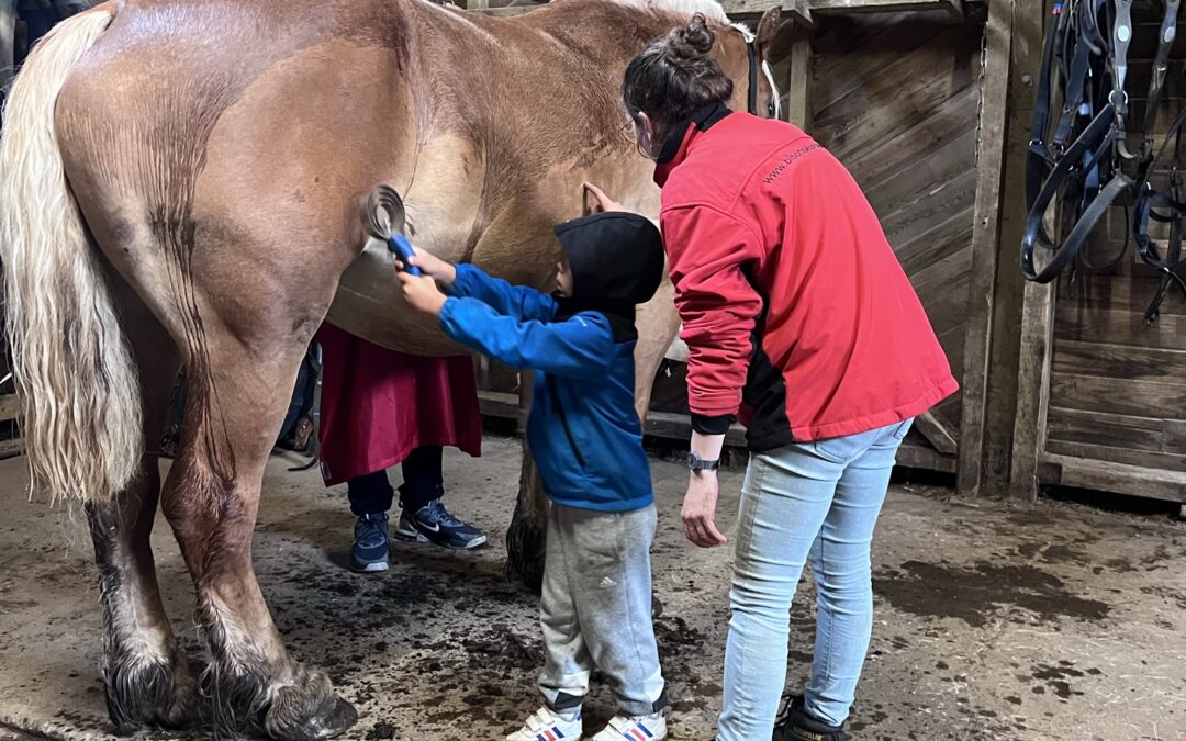 Devenez Soigneur Animalier