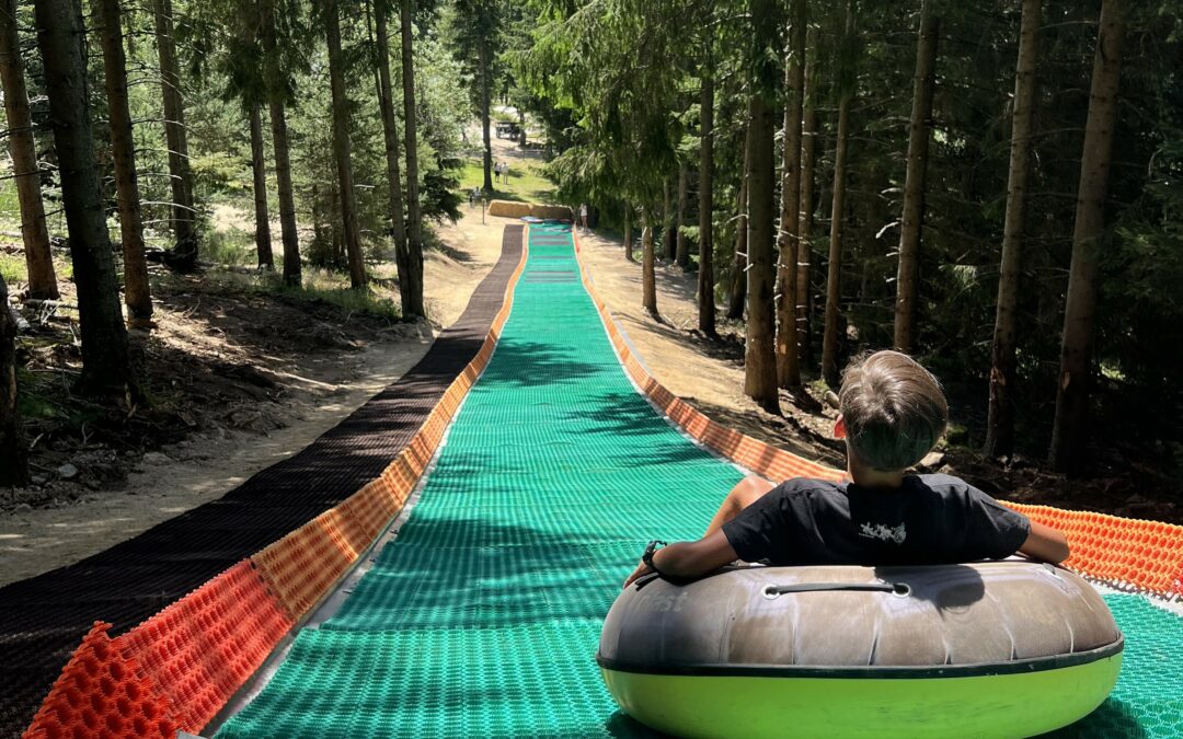 Nouveauté 2026 : Découvrez la piste de Tubing Luge à La Réserve des bisons d’Europe !